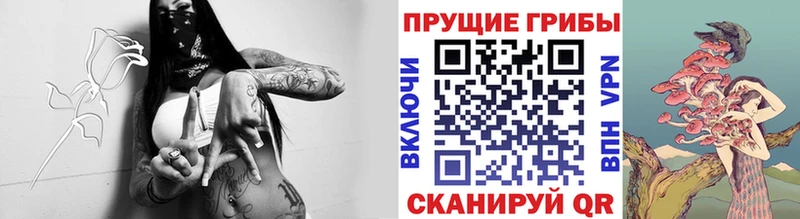 Галлюциногенные грибы Psilocybine cubensis  ОМГ ОМГ онион  Кукмор 