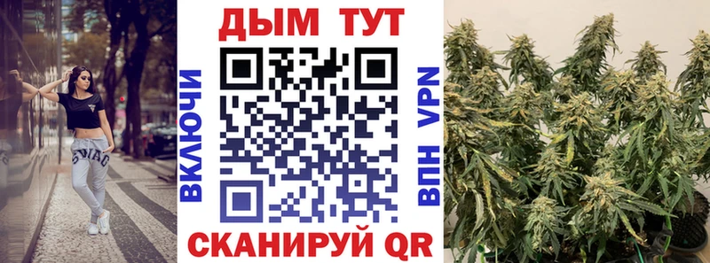 даркнет клад  где продают наркотики  Кукмор  Канабис план 